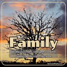 See more ideas about family tree, family history quotes, genealogy quotes. Quotesandwisdom Com Quote Family Like Branches In A Tree