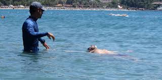Kusadasi Yuzme Kursu Yuzme Antrenoru Gokhan Kanal