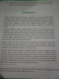 Sebutkan Pikiran Utama Dan Informasi Penting Setiap Paragraf Brainly Co Id