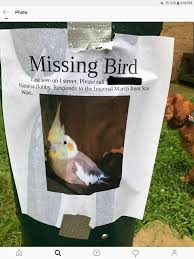 Best Bird Ever A Pet For A Sith Star Wars Humor Star Wars Memes Ultimate Star Wars