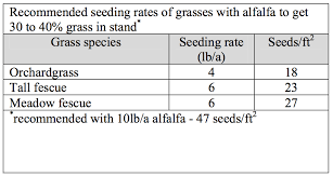 alfalfa grass mixtures team forage