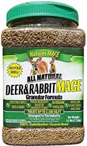 One technique is to make your own rabbit repellent using common ingredients found around the home. 8 Best Rabbit Repellents To Keep The Cute Monsters Away