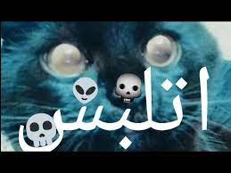 مشاهدة فيلم apex predators 2021 مترجم. Ø§Ù„Ø³Ø§Ø­Ø± Ø®Ø·Ù Ø³ÙŠÙ…Ø¨Ø§ Ù…Ø´ Ù‡ØªØµØ¯Ù‚Ùˆ Ø¹Ù…Ù„ ÙÙŠÙ‡ Ø§ÙŠÙ‡ Ø´Ø§ÙˆØ± Youtube