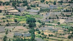 Resultado de imagen para la cosecha en las sierra