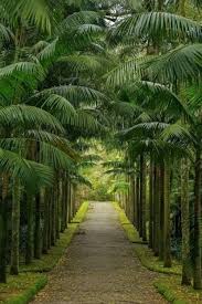 A Corner Of Paradise Landscape Design Tropical Landscaping Garden Landscape Design