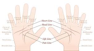 A Palm Reading Chart Youll Want To Refer To Over And Over Again