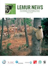 Image result for Warneckea sp.