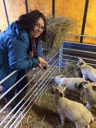 Katie S Student Nursing Experience Evidence Based Nursing Blog