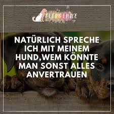 Als wir sam zu uns holten, dachten wir, man müsse einem hund viel freiraum geben, damit er sich entwickeln kann. Hundespruche Hundeleben Hundewelt Hunde Hundespruche Hund Funnies