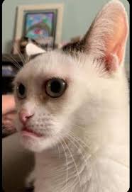 🤣🤣🤣🤣🤣🤣🤣🤣🤣🤣🤣🤣🤣🤣🤣🤣🤣🤣🤣🤣🤣🤣 He's waving goodbye to the  glory days! 🤣🤣🤣🤣🤣🤣🤣🤣🤣🤣🤣🤣🤣🤣🤣🤣🤣🤣🤣🤣🤣🤣🤣🤣🤣🤣🤣🤣🤣