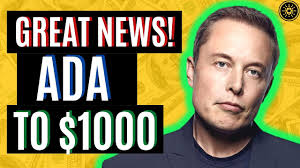 And if raturn remains the same this year. Cardano Ada To 1000 Ada Ready To Blow Up Cardano Ada News Today Coinmarketbag