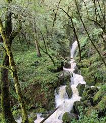 Cataract falls is a waterfall located in northern owen county in the west central part of the u.s. Cataract Falls Fairfax 2021 All You Need To Know Before You Go Tours Tickets With Photos Tripadvisor