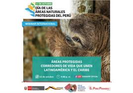 Las áreas protegidas no solo comprenden superficies terrestres sino también ambientes marinos. Tome En Cuenta Asi Se Celebrara El Dia De Las Areas Naturales Protegidas Noticias Agencia Peruana De Noticias Andina