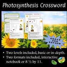 Take the quiz and score 100%. Photosynthesis Crossword Puzzle Worksheets Teaching Resources Tpt