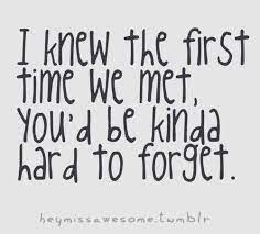 Knew The First Time We Met You Would Be Kinda Hard To Forget Quotes Meetings Quotes First Impression Quotes Meeting You Quotes