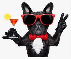 Multiplayer in the multiplayer mode, you have to tap on the animals quickly and try to get a higher score. Party Animal Person Hd Png Download Kindpng