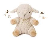 Sleep Sheep Cloud B