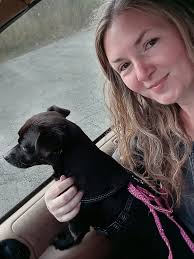 Fetita is in emergency surgery for pyometra. Hope she makes it 😞🙏