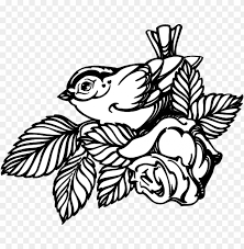 Bird With Rose Svg S 600 X 498 Px Png Image With Transparent Background Toppng