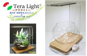 楽天市場】植物育成ライト「Tera Light®テラライト」＆手づくりガラス鉢植物育成「調光機能付LEDライト付き テラリウム  スタンド」と手作りガラスポットのセット植物育成インテリアスタンド鑑賞用とアクアリウムミニ水槽丸鉢（植物・土などはついておりません。） : 快適 ...