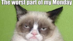 Cat avatar suit for every character to describe the moment. Top 25 Grumpy Cat Memes Cattime