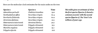 Image result for Adenolobus pechuelii