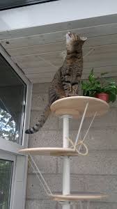 Ikea Hackers A Stolmen Snudda Cat Tree Katzen Katze Diy Haustiere