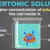 An animal cell is kept. 1