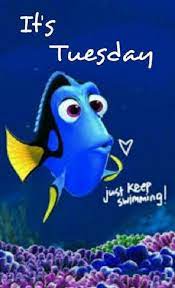 Jan 23, 2021 · good morning tuesday! Funny Good Funny Good Morning Images Quotes Facebook