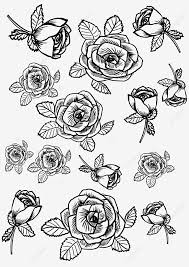 Lada hitam paling banyak dihasilkan di propinsi lampung, sementara lada putih awalnya banyak dihasilkan di muntok, bangka bagian barat. Gambar Corak Bunga Mawar Hitam Dan Putih Linier Bunga Ros Png Dan Psd Untuk Muat Turun Percuma