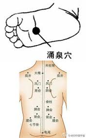 有的小儿一感冒就持续十几天 建议首选体疗 龙氏八卦推 外敷药 栀子 少量白芥子 敷贴内关 可解热除痉 白芥子需与糯米同炒 则外敷不起泡 症状重者加贴涌泉 刮脊背 热鸡蛋滚法等 acupunture acupressure acupressure points