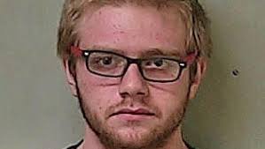 Stahl pleads guilty to felonious assault, domestic