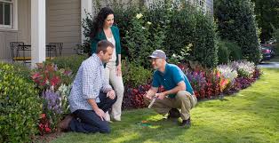 I had ants and i wasn't sure if they were carpenter ants or not. Pest Control Services Smyrna Ga Eco Friendly Treatments