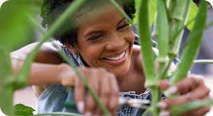 Amazon's 2024 Small Business Empowerment Report