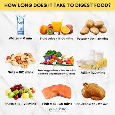 It is instantly absorbed into your intestines soon after drinking. Gut Alive How Much Time Your Body Takes To Digest Varies Facebook