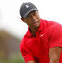 Tiger Woods Nike from www.cbc.ca