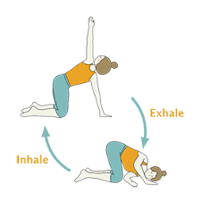 Thread The Needle Pose Flow Yoga Urdhva Mukha Pasasana Flow Yoga Sequences Benefits Variations And Sanskrit Pronunciation Tummee Com Yoga Poses Easy Yoga Workouts Shoulder Tension