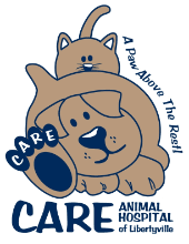 Maybe you would like to learn more about one of these? Veterinary Receptionist Jobs Employment In Illinois Indeed Com