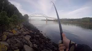 hawgtober striped bass from the cape cod canal