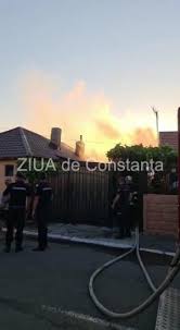 Avem 1 stiri despre piata delfinului. Rtdjnwhni84ohm