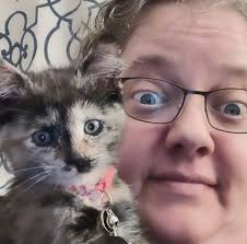 I'm looking to rent or buy a hospital type bed table for use after knee  surgery for a couple weeks.