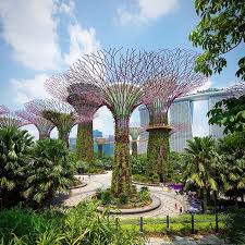 Gardens By The Bay Singapore Garden Gardens By The Bay Singapore Attractions