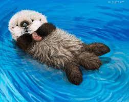 Sea Otter Awareness Week Newborn Otter Pup By Psithyrus On Deviantart Otters Cute Otter Pup Sea Otter