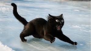 Image result for pokoutnik st job 