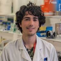 800+ "Drogo" profiles