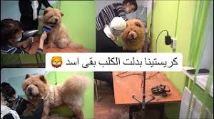 Check spelling or type a new query. Mp3 ØªØ­Ù…ÙŠÙ„ Ù…ØµØ·ÙÙ‰ Ø´Ø¹Ø¨Ø§Ù† Ùˆ ÙƒØ±ÙŠØ³ØªÙŠÙ†Ø§ Ø£ØºÙ†ÙŠØ© ØªØ­Ù…ÙŠÙ„ Ù…ÙˆØ³ÙŠÙ‚Ù‰