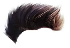 We did not find results for: 100 Best Hair Png Full Hd Transparent Images Free Download
