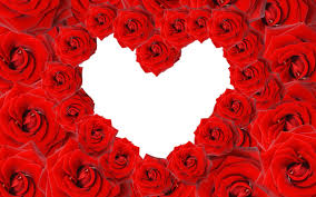 Pink rose petals love background. Love Rose Wallpapers Wallpaper Cave