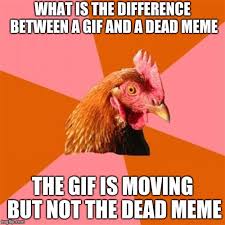 Check spelling or type a new query. Anti Joke Chicken Meme Imgflip