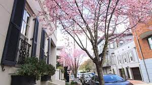 We did not find results for: Why Spring Is The Perfect Time To Visit Savannah There S Something So